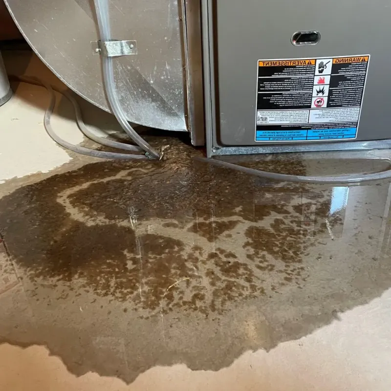 Pipe Burst and Leak Restoration in Corbin, KY