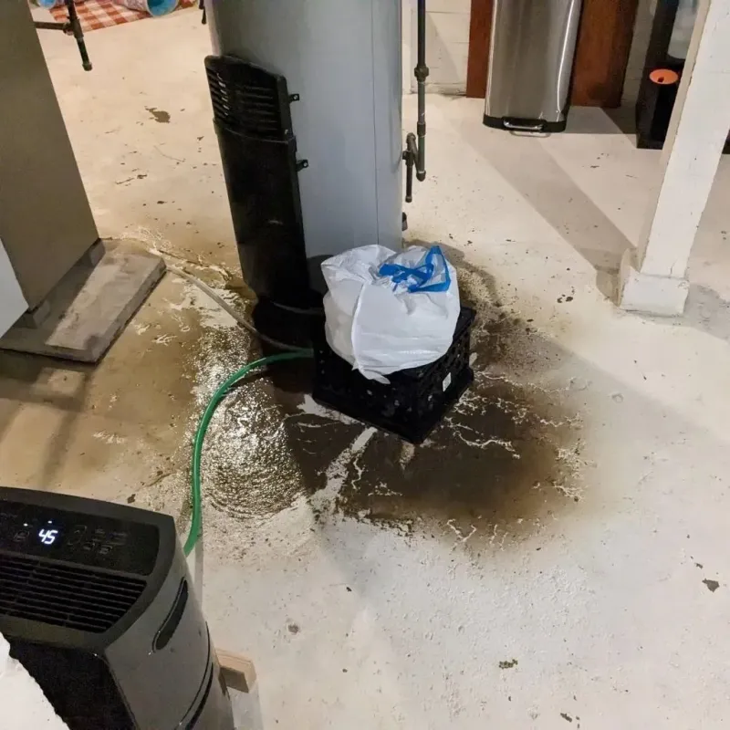 Sewage Backup Cleanup Service in Corbin, KY